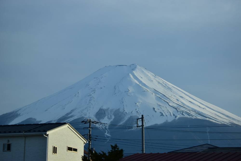 Fuji Mounted